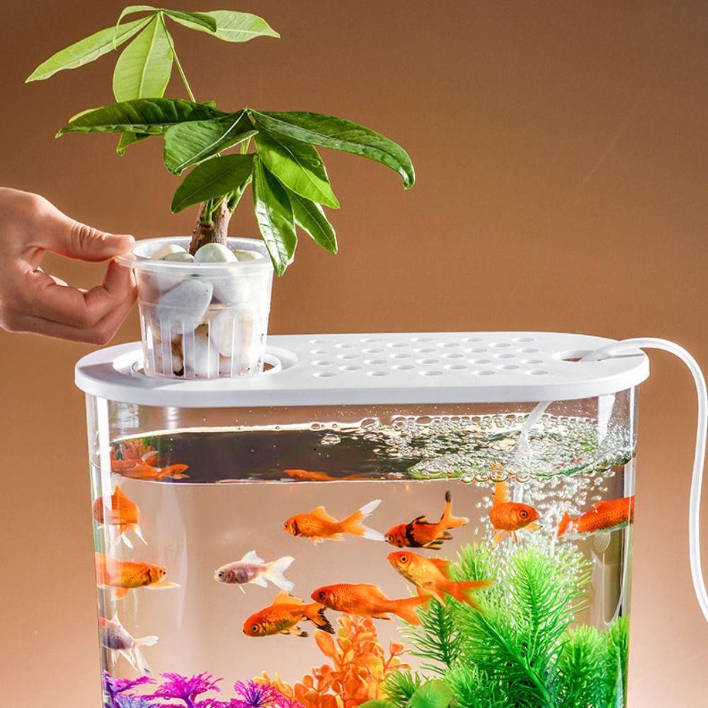 Мини-пластмассовый аквариумный цилиндр, аквариум с золотыми рыбками, ведро для рыбы, чаша для золотых рыбок, резервуар для просмотра