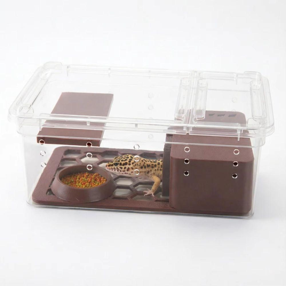 Detachable Gecko Tank Drop-Resistant Lizard Enclosure Reptile Terrarium  Climbing Animals Habitat