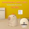 Cute Capybara Silicone Night Light Anywin Nursery Lamp 2 Levels 20 Minutes Timer Decorate Kids Living Festival Gift for Boys and Girls Orange,
