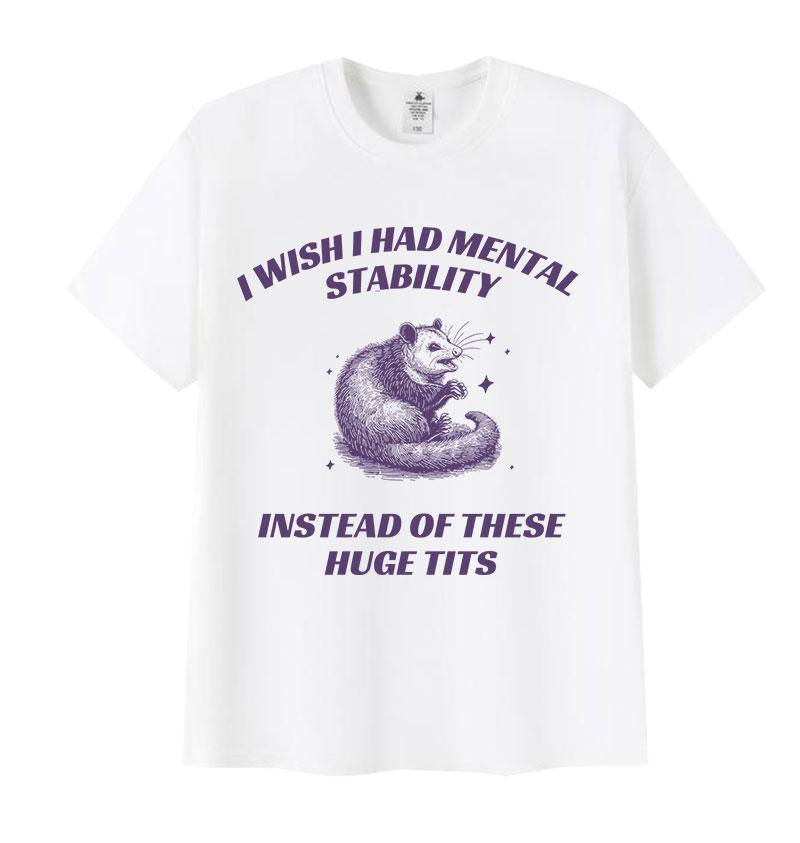 Funny I Wish I Had Mental Stability Racoon Meme T Shirts Men Women's Casual High Quality Oversized Cotton T-shirt Harajuku Tops