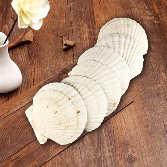 10Pcs Natural Scallop Shells DIY Crafts Theme Party Decor Bright White Seashells Jewelry Christmas Decoration