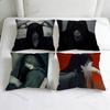 HHomicipher Mr CCrawling Fashion Square Pillow Case Durable Throw Pillow Cover for Sofa Couch Chair