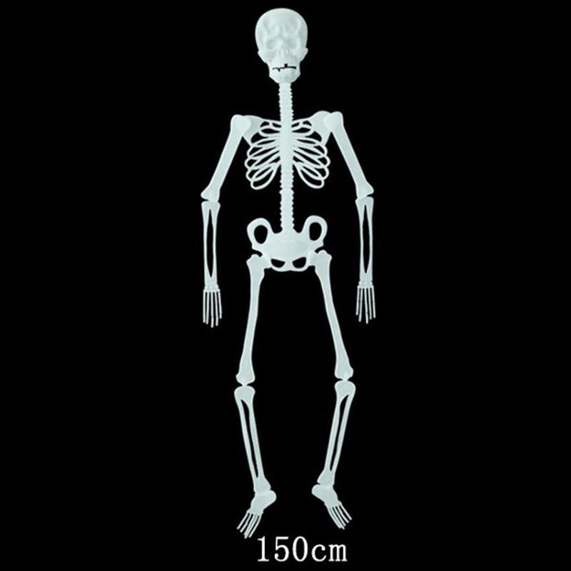 32/90/150Cm Poseable Human Skeleton Halloween Decoration Party Prop