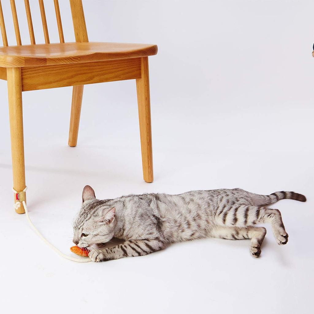 Petio Cat Toy Loofa Leather Dental TOY String Orange