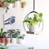 Вешалка для растений с гладкими краями, декоративная широко используемая привлекательная подвесная подставка для растений, стеллаж для хранения цветочного горшка, бытовые принадлежности