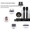 HuiDu Professional Dual Wireless Microphone System (CN version)