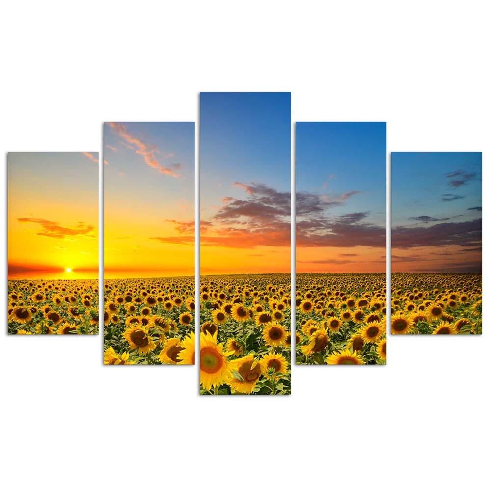 Feeby Five piece picture canvas print, Sunflowers on a meadow