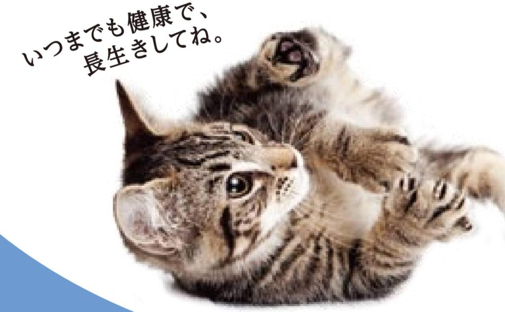 Влажный корм для кошек Medifas от 11 лет и старше с тунцом и филе молодой курицы, питательный, для мочевыводящих путей, 50 г x 12 [Комплексное питание/Нижние отделы пищеварительного тракта/Контроль pH/Домашнее питание