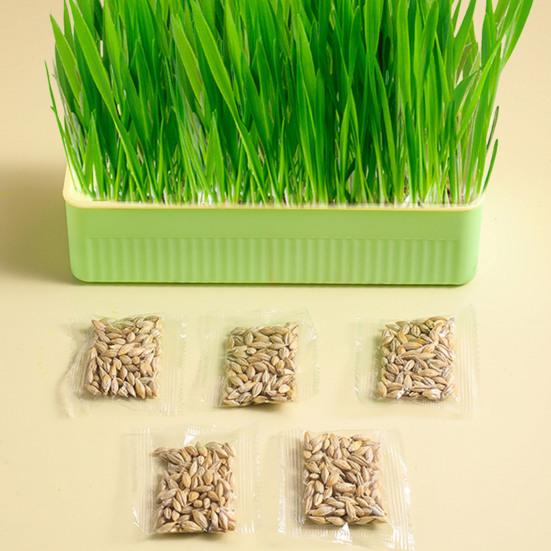 Кашпо для кошачьей травы со съемным дном, двухслойное контрастное цветное нескользящее основание, пластиковая подставка для кошачьих ростков, горшок для выращивания растений, садовые принадлежности