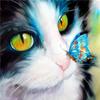 DIY алмазная живопись кошка алмазная вышивка животное вышивка крестиком полная круглая дрель горный хрусталь ручной работы искусство домашний декор подарок