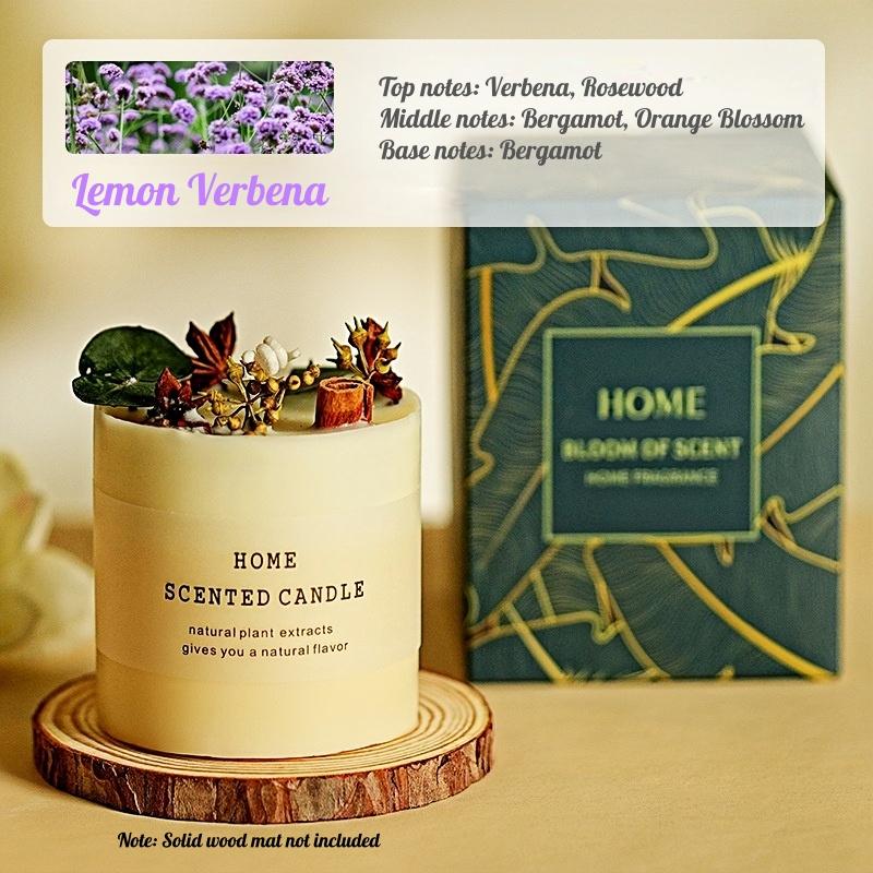New Arrival Decorative Real Dried Orange Cinnamon Aesthetic Candles Scented Candles with Deluxe Gift Box