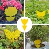 Traps Sticky Board Dual-Sided Sticky Traps Flying Plant Insect Catcher