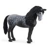Schleich Клуб Верховой Езды Испанская Лошадь (женский пол) Рисунок 13922