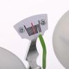 Double Pan Balance, 100g Capacity, Single Beam Analytical Weighing Learning