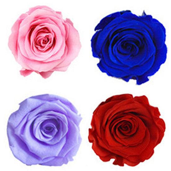 6шт/кор. 5-6см сохранившийся цветок бессмертная роза DIY Валентина свадебный праздник подарок