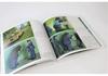 The Forest Bear: An Environmental Picture Book