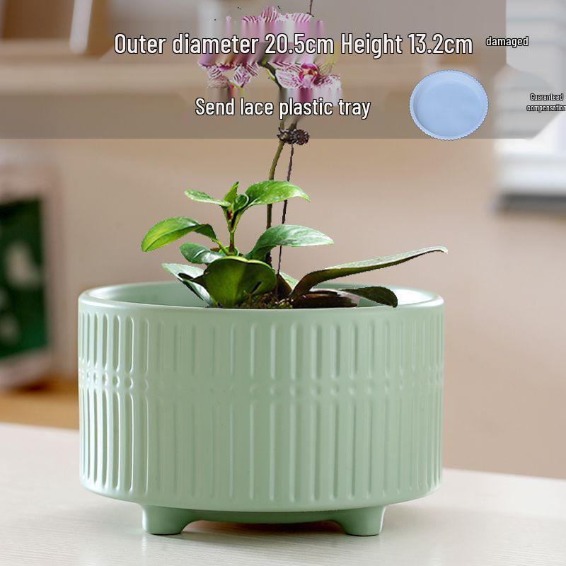 Nordic Style White Ceramic Succulent Pot with Four Compartments