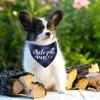 Банданы для собак Adopt Me, регулируемые нагрудники для собак, шарфы для кошек и домашних животных, аксессуары