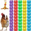 100pcs Portable Poultry Ankle Bands Mixed Colour Bird Leg Sign Rings  Poultry Accessories