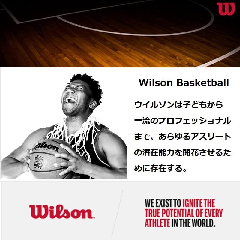 Wilson Basketball NBA FORGE PRO WTB8001XB07 Indoor and Outdoor Size Black Use, 7/Diameter Approx. 24.5cm,