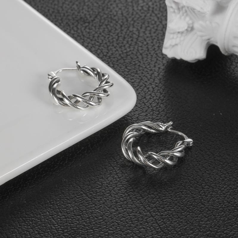 Wrapped Earrings Women's Fashion Ins Style Niche Design Premium Ear Buckles