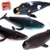 Детский развивающий набор фигурок морских животных: Кашалот, Косатка, Горбатый кит, Синий кит