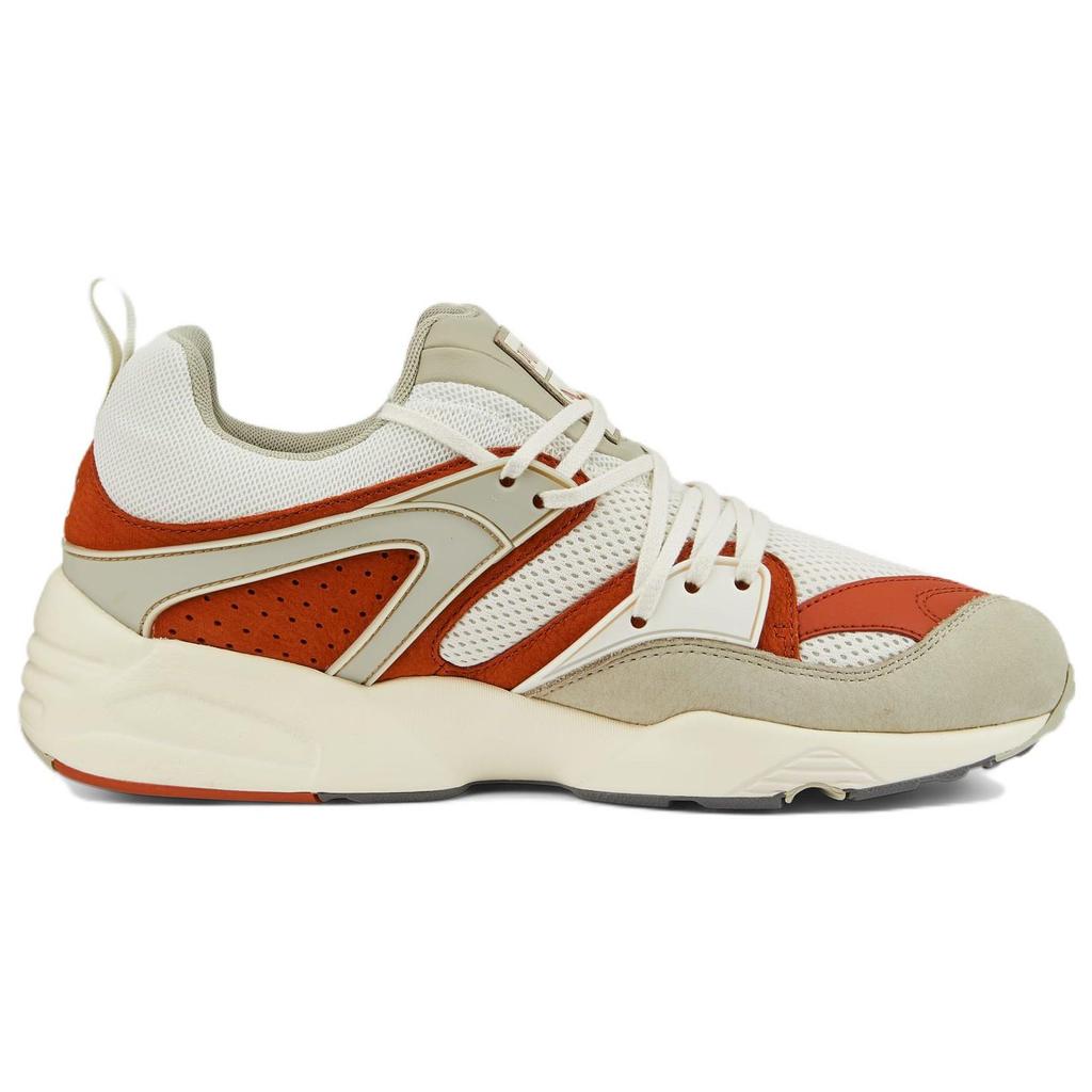 Puma Blaze Of Glory Vaporous Grey Warm Chestnut Мужские Кроссовки Коричневые 387575-03