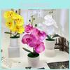 Potted Artificial Phalaenopsis Plant Silk Fabric Material Props Photography