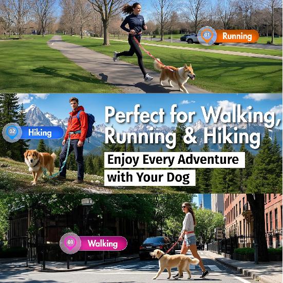 Hands Free Dog Leash with Waist Belt Lifetime Replacement, Dual Handle Bungee Leash for Running, Jogging, Hiking and Walking, for Medium and Large