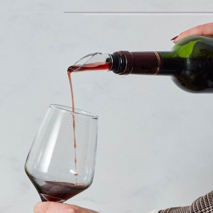 Refroidisseur de Vin 2-en-1 - SHOP-STORY - WICCORER - Acier Inoxydable - Aérateur Intégré - Bec Verseur