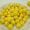 50pcs Realistic Simulation Fruit Mini Fruit Model Fake Fruits  Desk Decoration Accessories