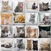 Sleeping Bubble Black Cat Animal Cushion Cover Cute Pet Cat Pillowcase Sofa Living Room Home Decor Pillowcase