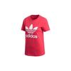 Adidas Originals T Shirt Women's Energy Powder (Unisex) T-Shirts GD2312