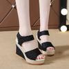 Summer New European and American Slope Heel Fish Mouth Sandals Women's Casual Muffin Thick-soled High-heeled Velcro Women's Shoes