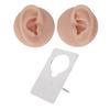 Ear Model Soft Silicone High Simulation Clear Structure Human Ear Model for Piercing Practice Light