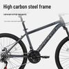 Flying Pigeon DF005 Mountain Bike