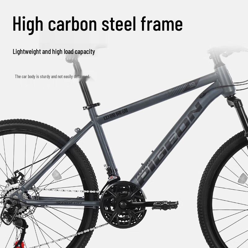 Flying Pigeon DF005 Mountain Bike