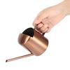 300ml Small Stainless Steel Watering Can Plant Flower Long Spout Sprinkling Pot for Home Use