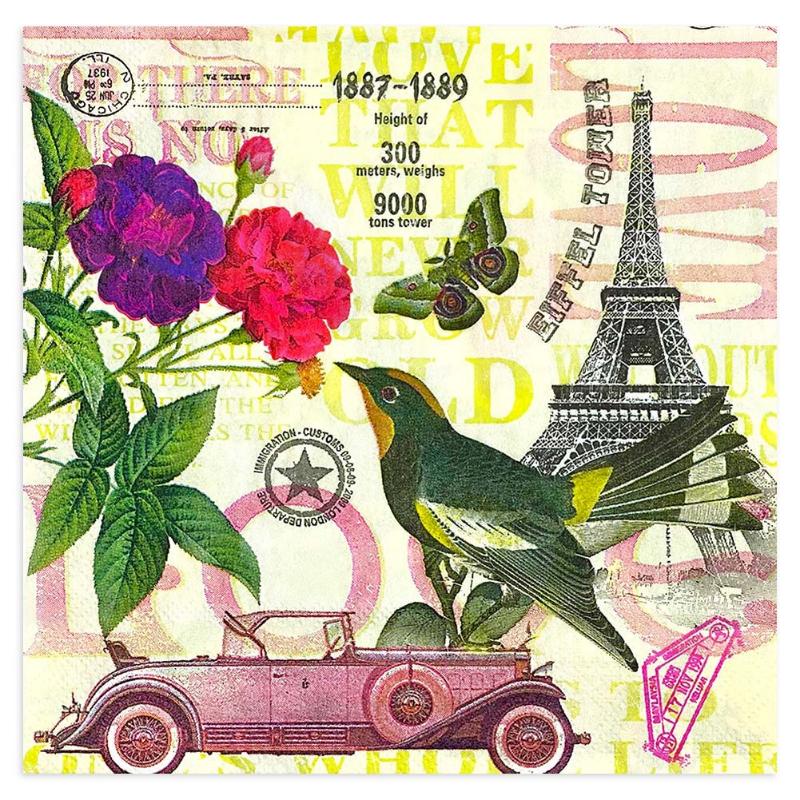 Салфетки одноразовые для вечеринок двухслойные 20 шт./упак. «Птицы и цветы Парижа»