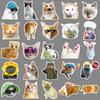 50 Internet Celebrity Cat Emoticons Packs Graffiti Personalized Hot DIY Mobile Suitcase Stickers Waterproof