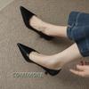 Fashion French Low Heel Women Thin Heeled Single Shoes Spring Autumn Pointed Temperament Shallow Mouth Elegant Work Shoes 2024 New Black