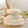 Cross-Border Princess Puffy Dress - Toddler's Bow Cake Skirt for Performances