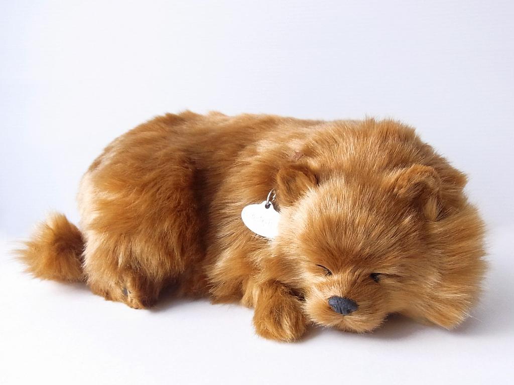 Ninian and Kino Perfect Pet Pomeranian Stuffed Animal Dog Realistic Goods Animal Healing Moving Present Gift Celebration Cute Dog Stuffed Animal