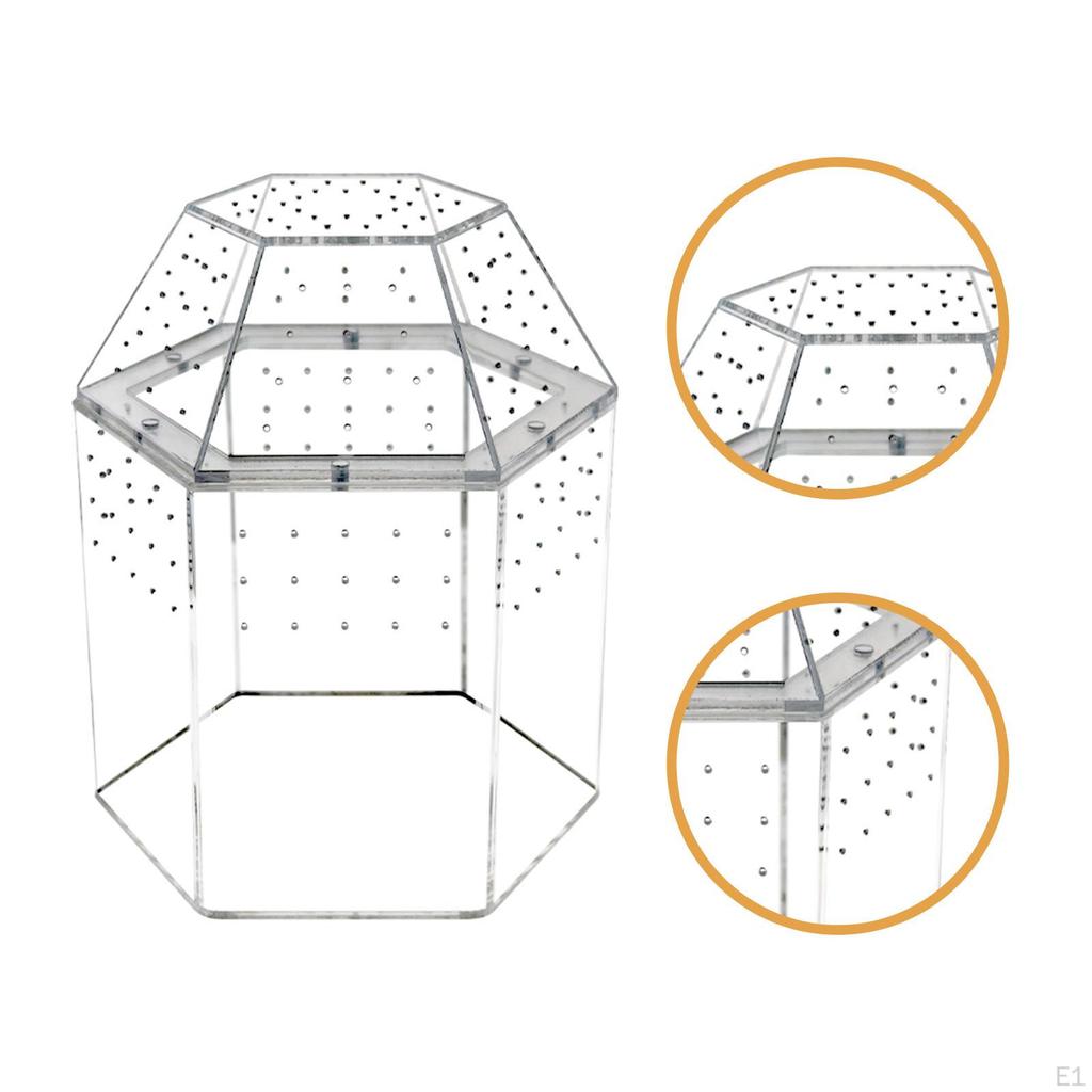 Reptile Terrarium Small Breeding Box Jumping Spiders Enclosure Clear Accessories Habitat