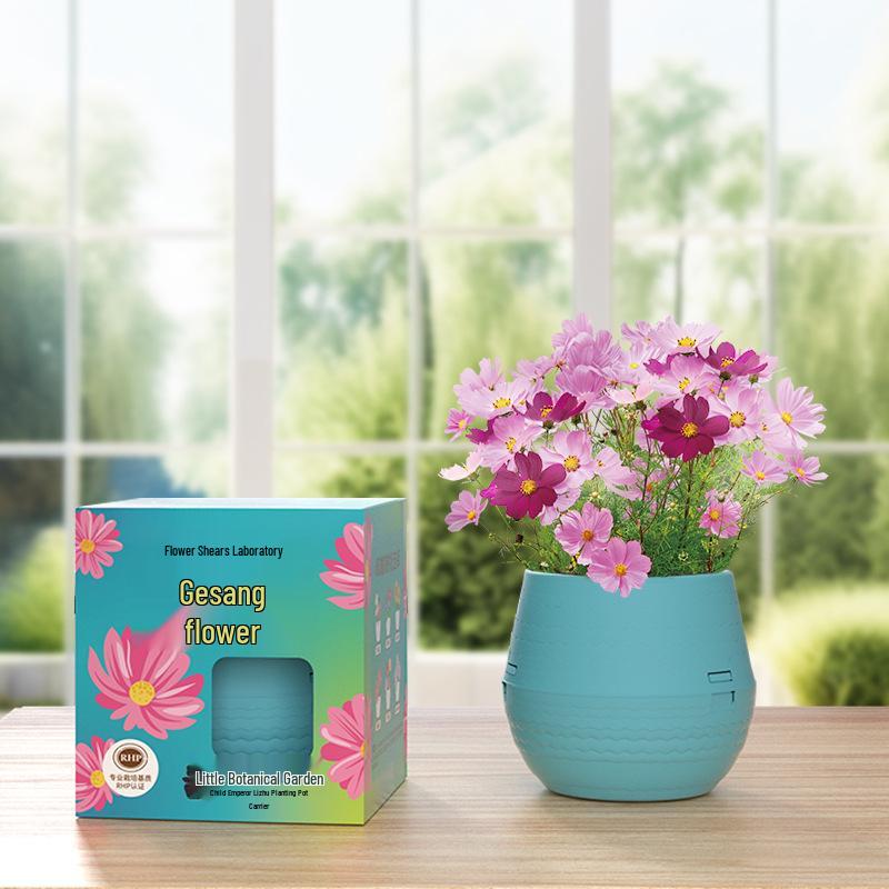 Kids' Chili Planting Pot - Primary School Gardening Kit