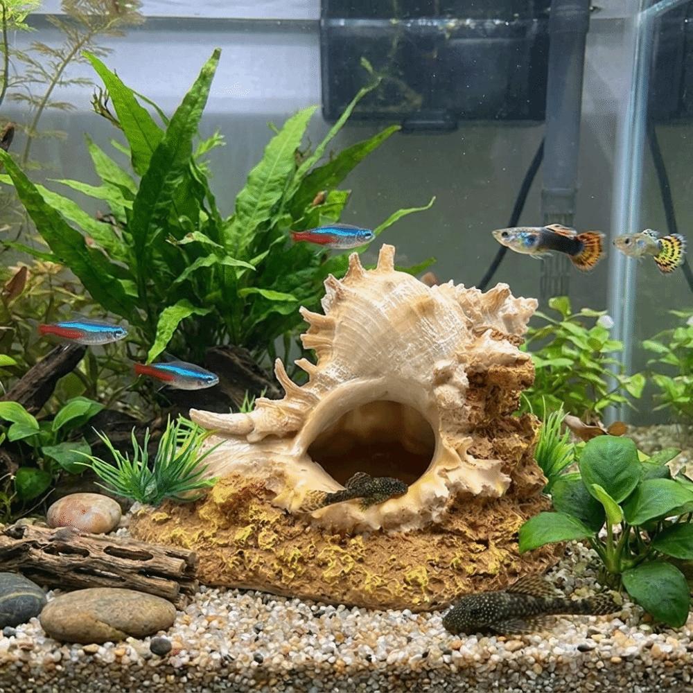 Conch Shape Fish Hideaway Cave Resin Fish Tank Ornaments Shrimp Hiding House  Small Fish Tank