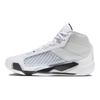 Мужские кроссовки Air Jordan 38 PF FIBA ​​Белый Чистая Платина Металлик-Золото FN7482-100