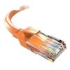 CHOSEAL CAT6 Гигабитный Ethernet патч-корд