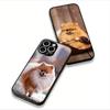 Funda Coque Cover for Apple iPhone 15 14 16 Plus XS 13 11 12 Pro Max XR X 16E ProMax Phone Case Pomeranian Dog