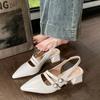 Designer Summer Pointed Toe Women Sandals Singbacks Mules Shoes Ladies Elegant Thick Heel Party Dress Shoes